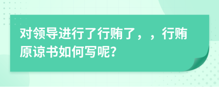 对领导进行了行贿了，，行贿原谅书如何写呢？