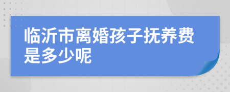 临沂市离婚孩子抚养费是多少呢