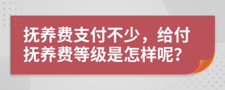 抚养费支付不少，给付抚养费等级是怎样呢？