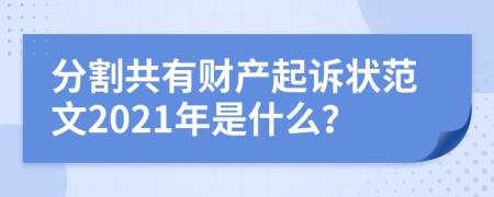 分割共有财产起诉状范文2021年是什么？