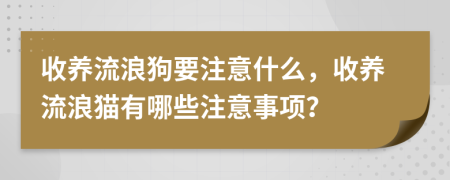 收养流浪狗要注意什么，收养流浪猫有哪些注意事项？