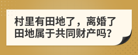 村里有田地了，离婚了田地属于共同财产吗？