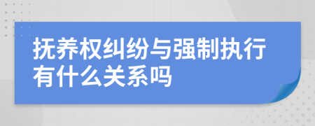 抚养权纠纷与强制执行有什么关系吗