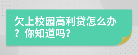 欠上校园高利贷怎么办？你知道吗？