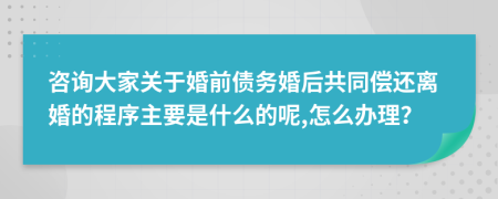 咨询大家关于婚前债务婚后共同偿还离婚的程序主要是什么的呢,怎么办理？