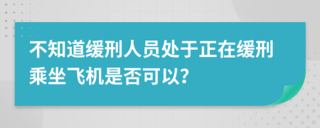 不知道缓刑人员处于正在缓刑乘坐飞机是否可以？