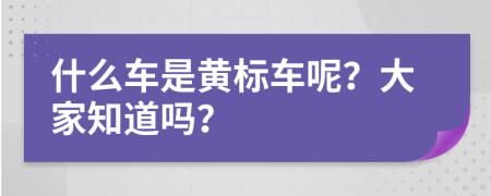 什么车是黄标车呢？大家知道吗？