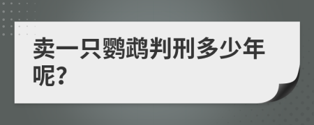 卖一只鹦鹉判刑多少年呢？