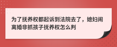 为了抚养权都起诉到法院去了，媳妇闹离婚非抓孩子抚养权怎么判