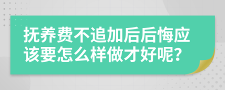 抚养费不追加后后悔应该要怎么样做才好呢？