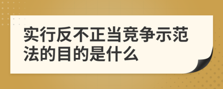 实行反不正当竞争示范法的目的是什么