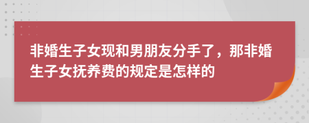 非婚生子女现和男朋友分手了，那非婚生子女抚养费的规定是怎样的