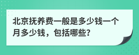 北京抚养费一般是多少钱一个月多少钱，包括哪些？