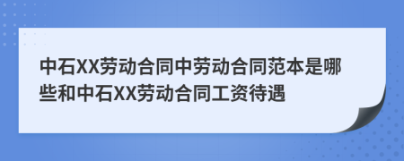 中石XX劳动合同中劳动合同范本是哪些和中石XX劳动合同工资待遇