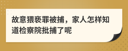 故意猥亵罪被捕，家人怎样知道检察院批捕了呢