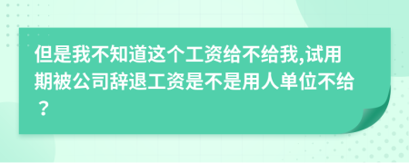 但是我不知道这个工资给不给我,试用期被公司辞退工资是不是用人单位不给？