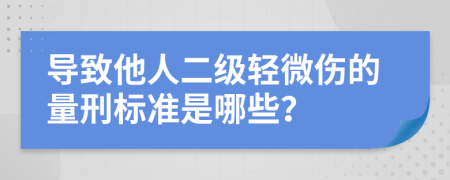 导致他人二级轻微伤的量刑标准是哪些？