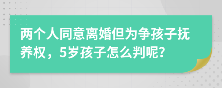 两个人同意离婚但为争孩子抚养权，5岁孩子怎么判呢？