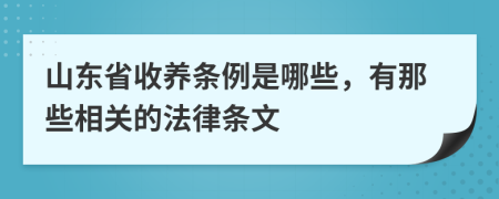 山东省收养条例是哪些，有那些相关的法律条文