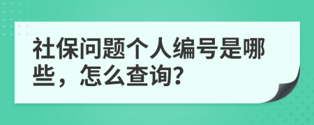 社保问题个人编号是哪些，怎么查询？