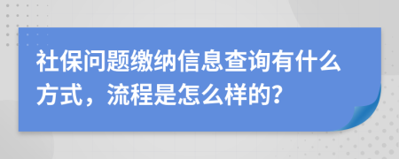 社保问题缴纳信息查询有什么方式，流程是怎么样的？