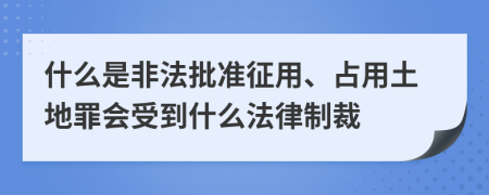 什么是非法批准征用、占用土地罪会受到什么法律制裁