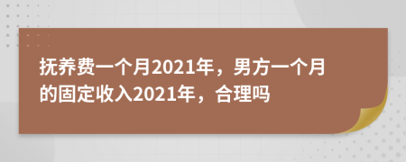 抚养费一个月2021年，男方一个月的固定收入2021年，合理吗