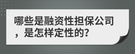 哪些是融资性担保公司，是怎样定性的？