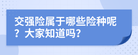 交强险属于哪些险种呢？大家知道吗？