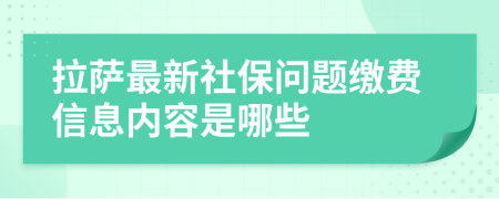 拉萨最新社保问题缴费信息内容是哪些