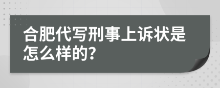 合肥代写刑事上诉状是怎么样的？