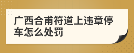 广西合甫符道上违章停车怎么处罚