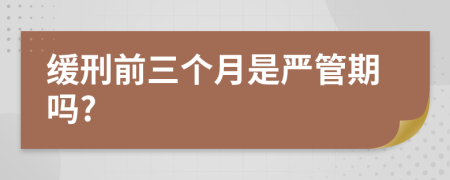 缓刑前三个月是严管期吗?