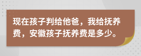 现在孩子判给他爸，我给抚养费，安徽孩子抚养费是多少。