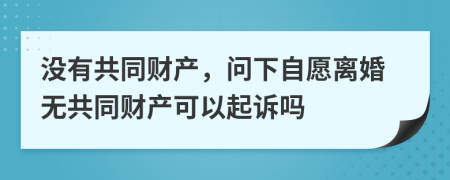 没有共同财产，问下自愿离婚无共同财产可以起诉吗