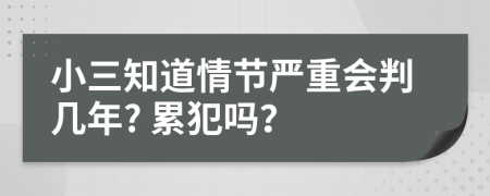 小三知道情节严重会判几年? 累犯吗？