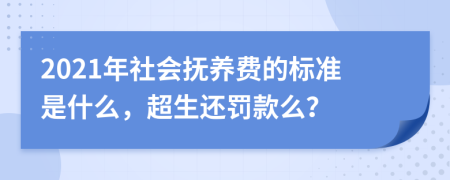 2021年社会抚养费的标准是什么，超生还罚款么？