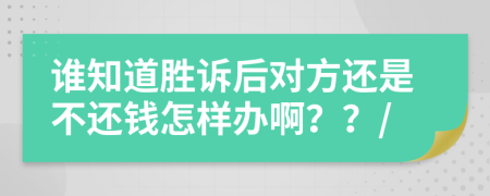 谁知道胜诉后对方还是不还钱怎样办啊？？/