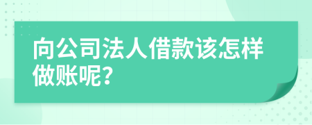 向公司法人借款该怎样做账呢？