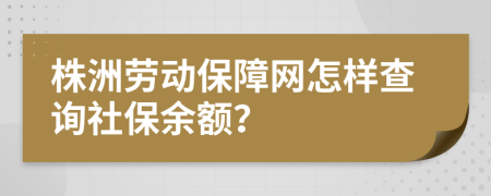 株洲劳动保障网怎样查询社保余额？