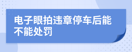 电子眼拍违章停车后能不能处罚