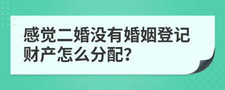 感觉二婚没有婚姻登记财产怎么分配？