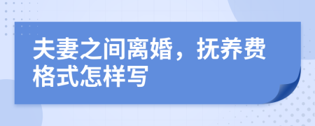 夫妻之间离婚，抚养费格式怎样写