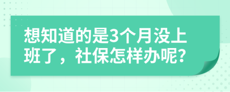 想知道的是3个月没上班了，社保怎样办呢？
