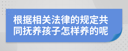 根据相关法律的规定共同抚养孩子怎样养的呢