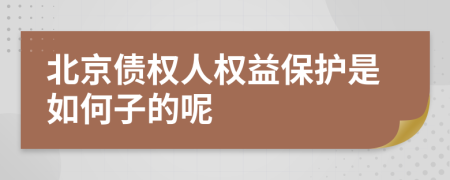 北京债权人权益保护是如何子的呢