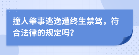 撞人肇事逃逸遭终生禁驾，符合法律的规定吗？