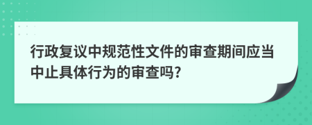 行政复议中规范性文件的审查期间应当中止具体行为的审查吗?