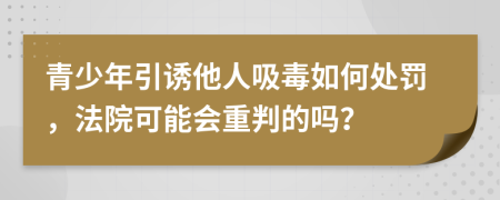 青少年引诱他人吸毒如何处罚，法院可能会重判的吗？