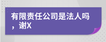 有限责任公司是法人吗，谢X